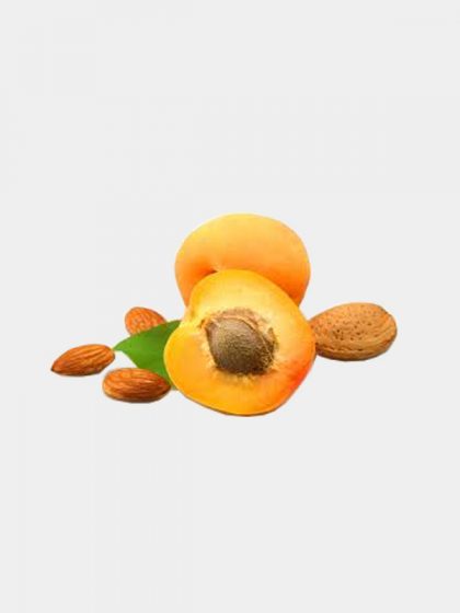 Nocciolo di albicocca